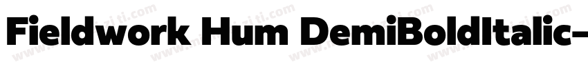 Fieldwork Hum DemiBoldItalic字体转换
